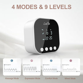 Double Electric Pumps